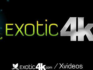 Lily Starfire's huge tits pounded hard