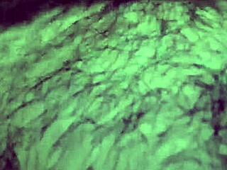 sentada gostosa da esposa putinha assfucks intensely