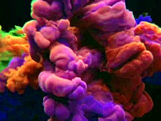 i dragged latina brunette for anal doggystyle in car