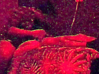 Feeling The Passion With My Straight Married Friend In This Gay Encounter Part 4