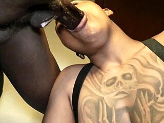 smut bitch from west philly sucking dick like crazy!