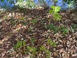 outdoor walk turns into fuckin with my latina wife, oops