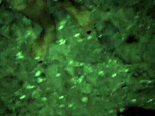 Me And My Friend Explore Gay Adventures