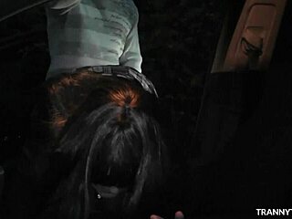 Fun With T-Girls At A Car Park And In A Porn Theater