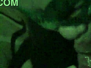 내 메이드가 내 큰 자지 빨기 좋아해, 컴필레이션