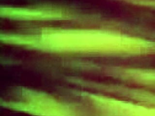 monster girl island prologue features intense sex with monsters.