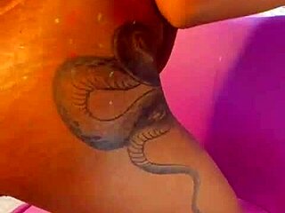 how many times would you cum licking this morena's pussy in lingerie?