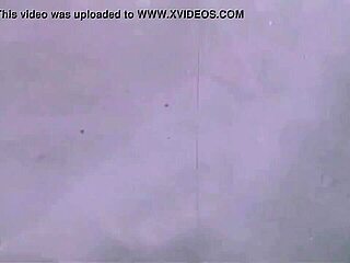 dark lantern entertainment presents a sea voyage from my secret life the erotic confessions of a victorian english gentleman with hairy pussy beaver 😏