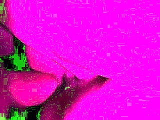 Want a quick doggystyle session with a mature cougar?