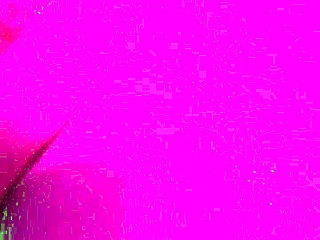 熟女クーガーと素早いバックセッションが欲しい？