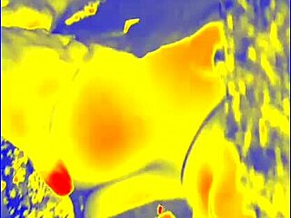 Hey, check out this thermal sloppy blowjob with bbw amateurs 😏💦