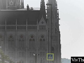 Slender Lesbian Fucks Stranger She Picks Up Licking Smooth Pussy