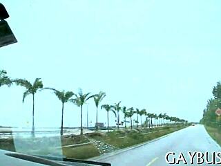 Detailed Homo Sex Scenes Featuring Gay Couples In Intimate Encounters