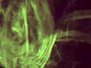 Miss Madii Bbw Latina Gets Oral From Petite Slut