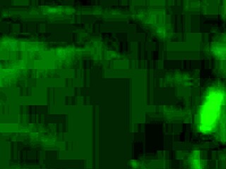 sherytiffany tiffany, the colombian shemale ladyboy, rides bareback in anal action.