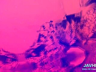 Hey, check out this Japanese chick banged by two cocks!