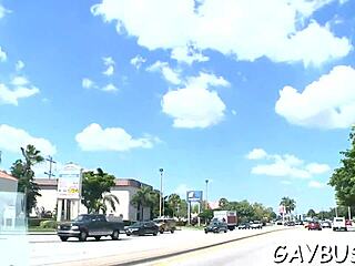 Hot Homo Chaps Compete In Sucking Contest