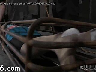 Intense hardcore action unfolds in scene 003