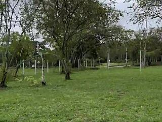 タリアとの公衆での再会