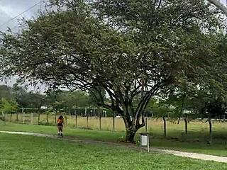 タリアとの公衆での再会