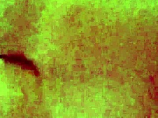 I filmed neighbor riding, she caught me moaning