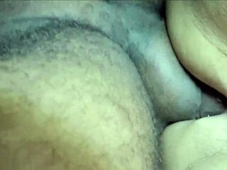 Ever dreamed of interracial pornstar pussy sucking?