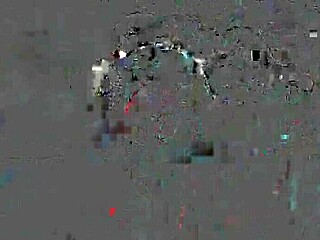 you are going to be my little 18+ bitch from now on