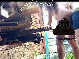 At My Friend’s Anniversary, I Banged His Hot Chick in the Backyard, Wild Stuff