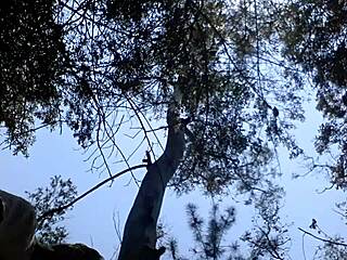 Gay amatør suger og knuller meksikansk kuk i offentlig anal sex