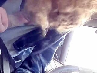 Giving Morning Blowjob To Buddy In Car