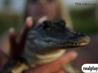 Lovely Babes in Bikinis Visit Outdoor Public Area with Big Tits