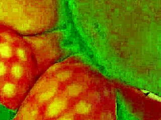 Angelg And Kuzz In Halloween Special Part 2