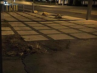 Stranded Teen 18+ Roughly Fucked Outdoors In Bondage. Public Pickup With Shaved Pussy And Tattoos.