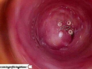 Camera captures intense anal and vaginal action