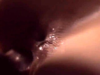 Wow, She Caressed My Bridle and Balls with Her Tongue for a Dripping Creampie!