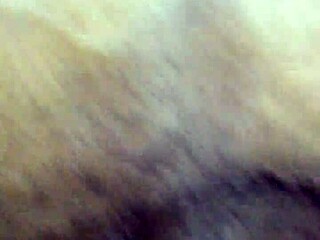 Big Black Cock Meets Retro Fat Pussy Scene