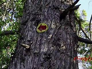 Tour Guide's Merciless Hard Sex With Latina In South Argentina Vlog