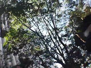 asian babe with small tits begs for more?