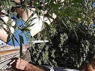 i enjoyed a hot suck and fuck in the 420 patch