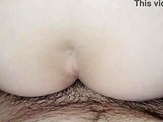 Quick Anal Ride with MILF