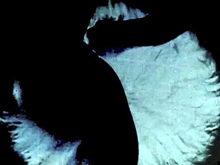 What do you think of this vintage hairy pussy from the age of steam?