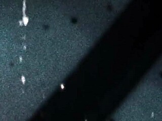 Tgirls XXX Presents the Unstoppable Chelsea Marie in Action