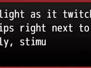 Harem In Another World