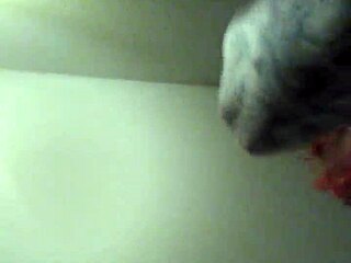 Daniel and Mandy engage in raw fucking with exclamatory passion!