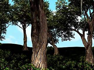 Amor mágico de Musik Luv con un mago en el corazón de la magia, episodio 4