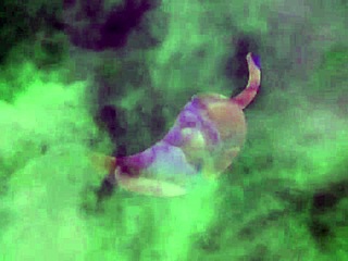 long anal on horseback single without dick never complete xv red latina fetish