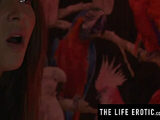 Sıcak Esmer Sevgili Onu Boşalırken İzlerken Kendini Parmaklıyor