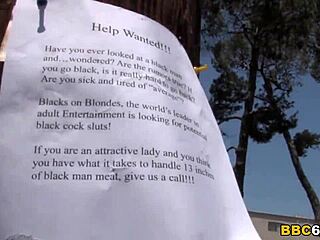 Baylee lee takes mandingo's black cock balls deep! oh yes!