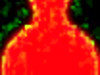 Busty asiatiske tenåringer i vill sæd-dryppende blowbang handling!