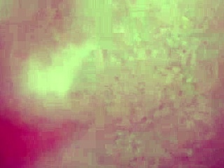 Self-Sucking Big Dick in Stunning Autofellatio Display!